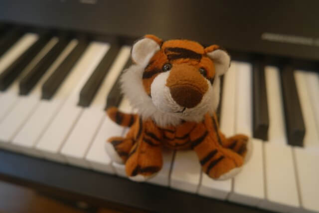 For solo piano - Tigress Rag 
