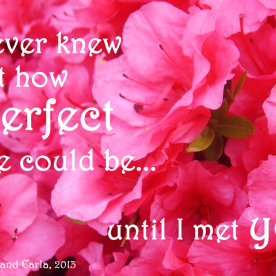 Larry and Carla long-distance LDR quote - I never knew how perfect love could be 3