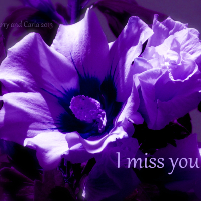 Larry and Carla long-distance LDR quote - I miss you