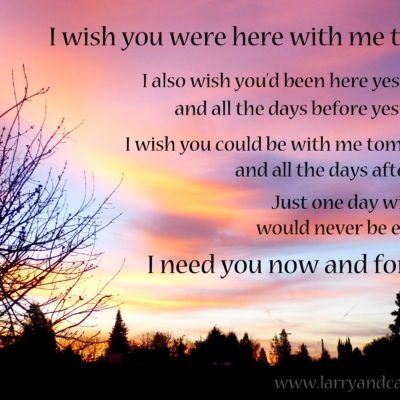 LDR quote - I wish you were here with me today and forever