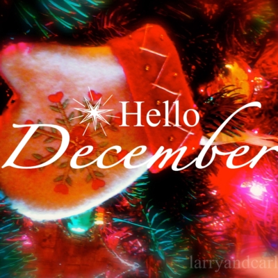 long-distance relationship LDR winter quote - Hello December