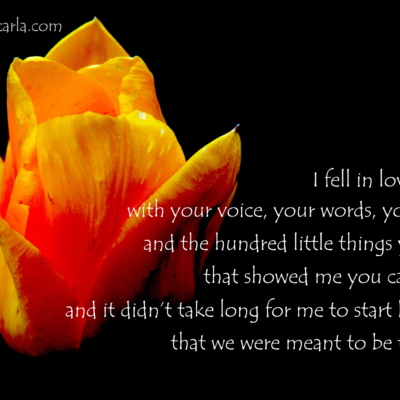 long-distance relationship LDR quote - I fell in love with the things you did that showed me you cared
